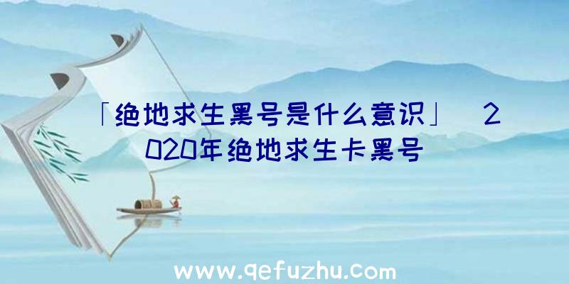 「绝地求生黑号是什么意识」|2020年绝地求生卡黑号